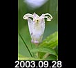 2003.09.28