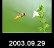2003.09.29