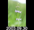 2003.09.30