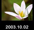 2003.10.02