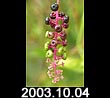 2003.10.04