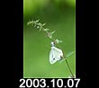 2003.10.07