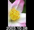 2003.10.08