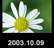 2003.10.09