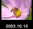 2003.10.10