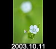 2003.10.11