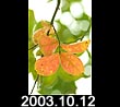 2003.10.12