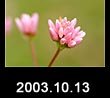 2003.10.13