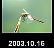 2003.10.16