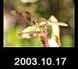 2003.10.17