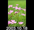 2003.10.18