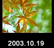 2003.10.19