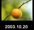 2003.10.20