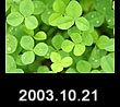 2003.10.21