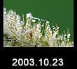 2003.10.23