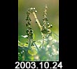 2003.10.24