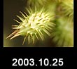 2003.10.25