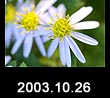 2003.10.26