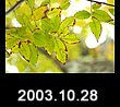 2003.10.28