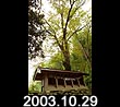 2003.10.29