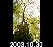2003.10.30
