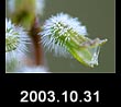 2003.11.31