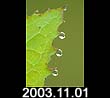 2003.11.01