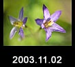 2003.11.02