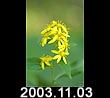 2003.11.03