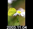 2003.11.04