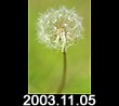 2003.11.05