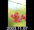 2003.11.07