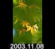 2003.11.08