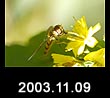 2003.11.09