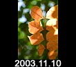 2003.11.10