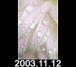 2003.11.12