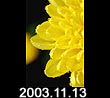 2003.11.13