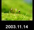 2003.11.14