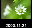 2003.11.21
