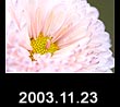 2003.11.23