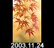 2003.11.24