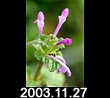 2003.11.27
