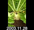 2003.11.28