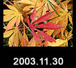 2003.11.30