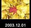 2003.12.01