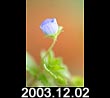 2003.12.02