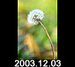 2003.12.03