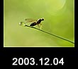2003.12.04