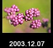2003.12.07