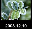 2003.12.10